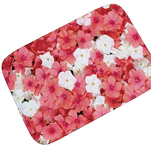 Felpudos Divertidos Felpudo Antideslizante Alfombrilla con Estampado De Flores Alfombra para Sala De Estar Sofá Alfombrilla para Pies Absorbente Felpudo para Baño Alfombra Lavable-Nueva Hamp