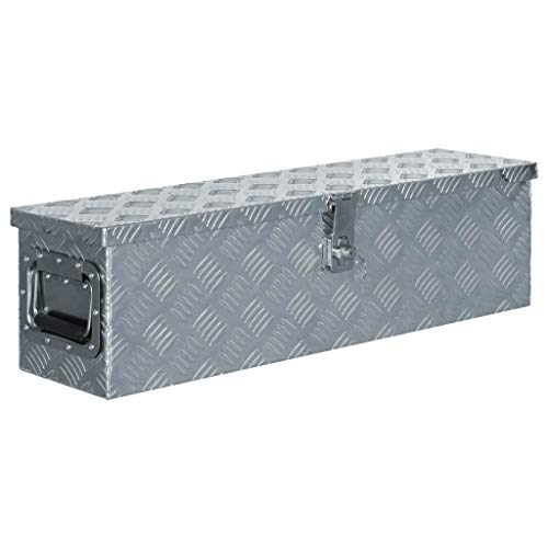 Festnight Caja de Aluminio Multiusos con Sistema de Cierre (80,5x22x22 cm)