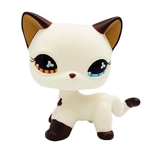 FINIMY Pet Shop Juguetes Lps Toy Littlest Pet Shop Toy Lps Toy Cat Dog Pet Shop Toy Pink Dog Negro Pelo Corto Colección de Gatos Acción De pie Juego de Roles Regalo para niños Rojo