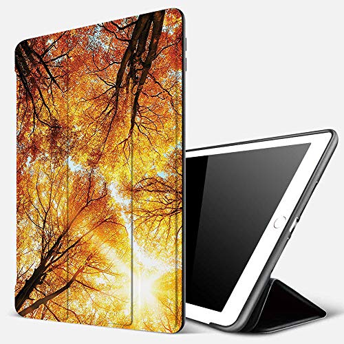 Funda iPad 10.2 Inch 2018/2019,Árboles del Bosque del Sol, Dosel Hayas en el Bosque Imagen refrescante del patrón de otoño cálido, Negro,Cubierta Trasera Delgada Smart Auto Wake/Sleep