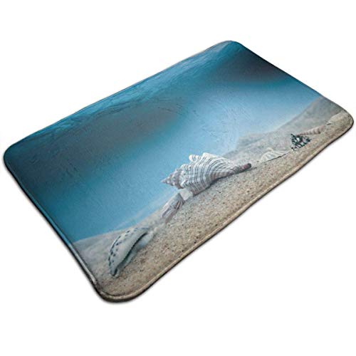 GOSMAO Felpudo de Entrada Alfombra Exterior para Puerta Impermeable Lavable Antideslizante Conchas de los Fondos Marinos 40X60cm