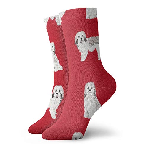 Havanese Dog Pet Cheater Colección Coordinate Novelty Fashion Crew Calcetines Unisex Deportes Walking Athletic Calcetines