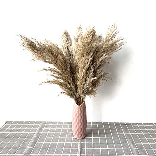 HUIJUNWENTI Hierba Plantas de decoración del hogar decoración de la Boda Pampas secas Manojo de Plumas Naturales fragmitas Altura 20-22 ‘’ florero plástico (Color : Rosado, Talla : M)