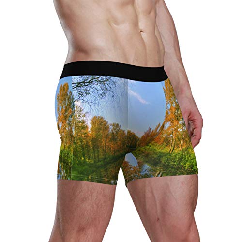 Janhe Calzoncillos bóxer para Hombre Calzoncillos de Vapor Transpirables para Bosque otoñal Ropa Interior Estiramiento Microfibra Secado rápido Acción Suave Inspirado en el Deporte