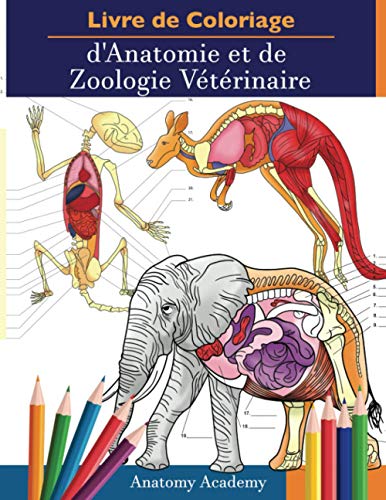 Livre de Coloriage d'Anatomie et de Zoologie Vétérinaire: 2-en-1 Compilation | Cahier d'Exercices d'Anatomie Animale Incroyablement Détaillé | Cadeau ... Vétérinaire et les Amoureux des Animaux