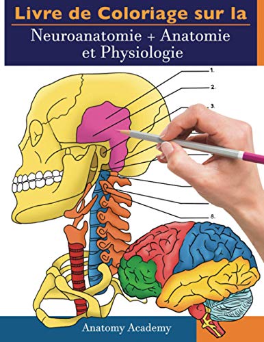 Livre de Coloriage Neuroanatomie + Anatomie et Physiologie: 2-en-1 Compilation | Cahier d'Autotest Couleur Incroyablement Détaillé pour l'étude et la Relaxation