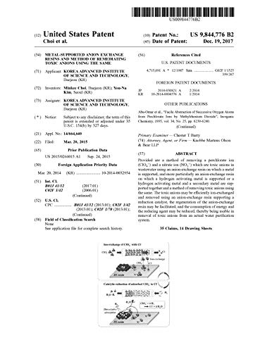 Metal-supported anion exchange resins and method of remediating toxic anions using the same: United States Patent 9844776 (English Edition)