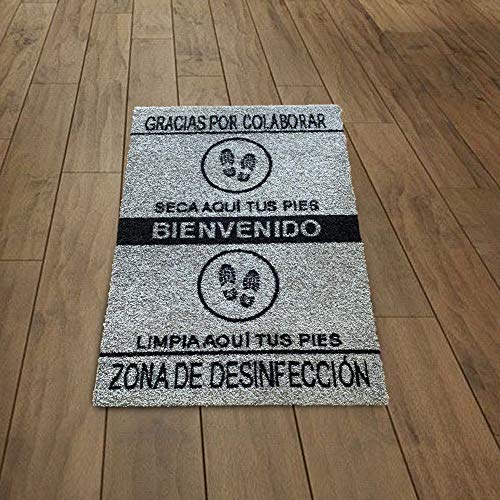 SML Alfombra-Felpudo desinfectante para Entrada hogar y Negocio,Limpia Zapatos,Antideslizante y Lavable.Medida 60x85cm (Gris)