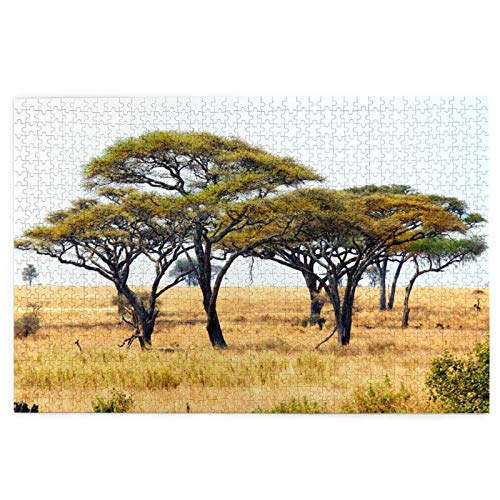 Wdoci Rompecabezas de 1000 Piezas,Rompecabezas de imágenes,Árboles de Acacia del Paisaje Africano,Juguetes Puzzle for Adultos niños Interesante Juego Juguete Decoración para El Hogar