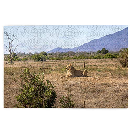 Wdoci Rompecabezas de 1000 Piezas,Rompecabezas de imágenes,Leona Africana Closeup en Savannah Plains,Juguetes Puzzle for Adultos niños Interesante Juego Juguete Decoración para El Hogar