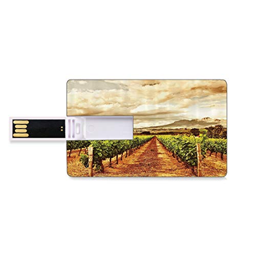 64 GB Unidades flash USB flash País Forma de tarjeta de crédito bancaria Clave comercial U Disco de almacenamiento Memory Stick Grape Valley Clouds Over Vineyard Fruit Plantation Impresión digital,cor