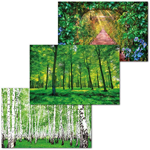 GREAT ART Juego de 3 Carteles XXL – abedules y Bosque de Verano – Bosque Verde Bosque otoñal árboles Naturaleza paisajes decoración de Interiores póster Mural Cada uno 140 x 100 cm