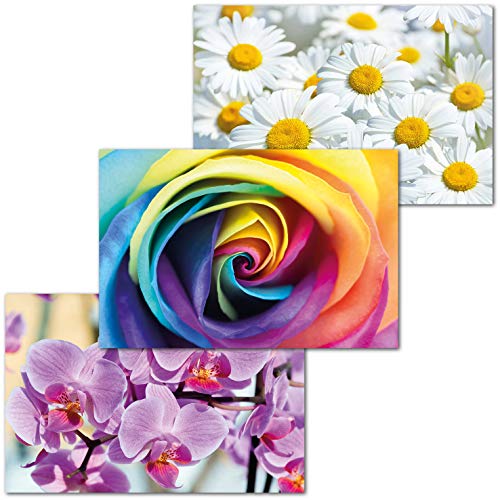 GREAT ART Juego de 3 Carteles XXL – Flower Power – orquídeas Margaritas arcoíris Rosas Flores Primer Plano Flor Naturaleza Planta decoración de Interiores Mural Cada uno 140 x 100 cm