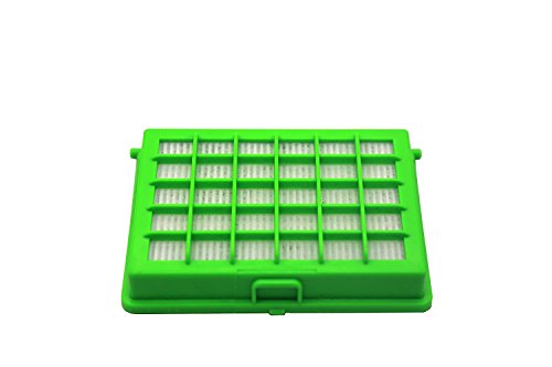 Green Label Filtro HEPA para Aspiradoras Rowenta y Moulinex Compacteo Ergo, City Space, Accessimo. Reemplaza a ZR004501