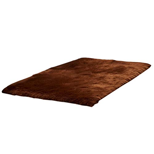 HotYou Alfombras, Lavable Material de Lana Artificial Alfombra Decorativo Sala de Estar y Dormitorio,Café,30 * 30CM