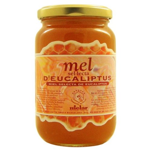 MIEL EUCALIPTO 500GR