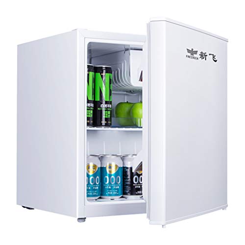Mini refrigerador portátil, Alquiler de dormitorios en el hogar, refrigerador refrigerado de bajo Consumo y Ahorro de energía de 55 litros, con cámara fría de microcongelación