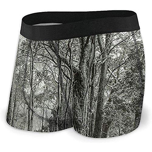 Web--ster Árboles de Goma nevados Bosque Calzoncillos bóxer australianos Algodón Suave Transpirable Ropa Interior sin Montar para Hombres Talla XL