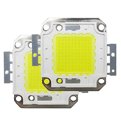 2PCS 100W LED Chip Blanco 6000K 220V COB Bombillas LED para Luz de Inundación LED, luz de Techo, Alta Potencia Lampara Ahorradora de Energia Tesfish