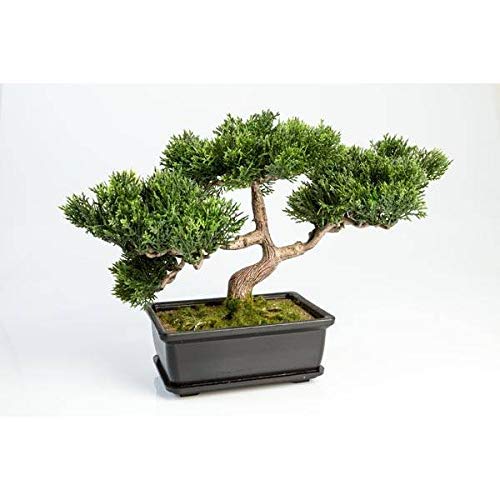 artplants.de Bonsái de Cedro Artificial con 120 Ramas, en Cuenco Decorativo, 25cm - Bonsái Decorativo - Bonsai Artificial