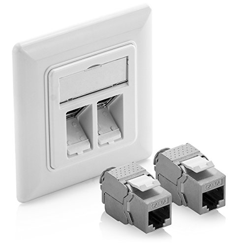 deleyCON 1x Enchufe de Red de Datos Keystone Montaje Empotrado 2X Cat 6a Keystone RJ45 Cat Blindado Blanco