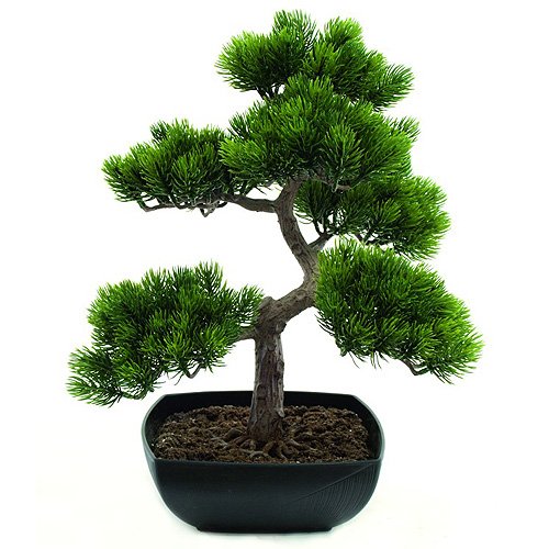 Euro Palms 82600110 - Bonsai (Pino, 50 cm)