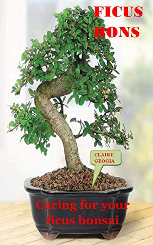 FICUS BONSAI: Caring For Your Ficus Bonsai (English Edition)