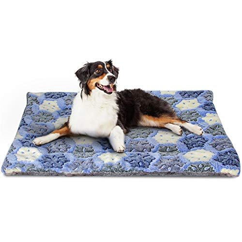 Nobleza Cama para Perros, colchoneta para Mascotas, Pata pequeña impresión paño Grueso y Suave Manta Suave Estera del Animal doméstico, Lavable (M,Azul)