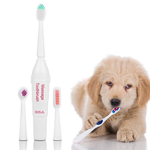 Ruiqas Herramienta de Limpieza de Dientes con Cepillo de Dientes Eléctrico para Perro Mascota con 2 Cabezales de Cepillo (Verde)