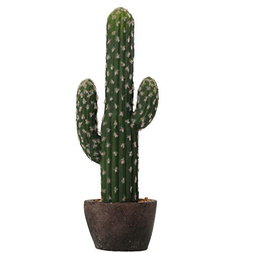 SuskaRegalos-Cactus Artificial Acrilico C/Maceta Cerámica_ø15x44cm-maceta_ø13x8cm