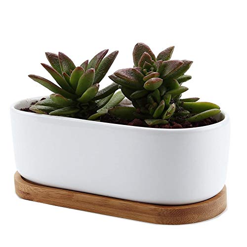 Z·Bling 17 X 8.5 X 5.5cm Diseño Moderno Oval Blanco de cerámica Cerámicos Planta Maceta Suculento Cactus Planta Maceta Planta Contenedor Vivero Maceta Macetas de jardín Macetas Envase