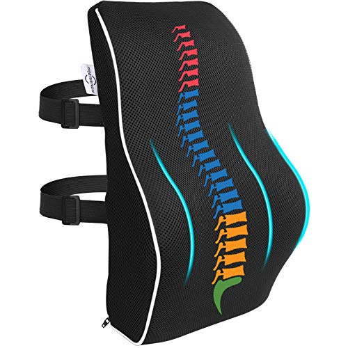 AMERIERGO Almohada de Soporte Lumbar Ergonómica Alivio del Dolor de Wspalda, Ideal para El Hogar, Oficina, Coche, Silla de Ruedas