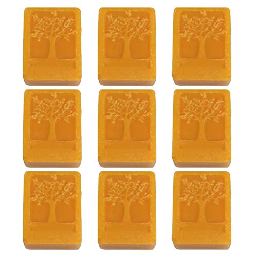 CoolCrafts 9 Piezas Bloques de Cera de Abeja Amarillo para Hacer Velas, Hacer Labial, Cremas, Pulido de Muebles - 900g