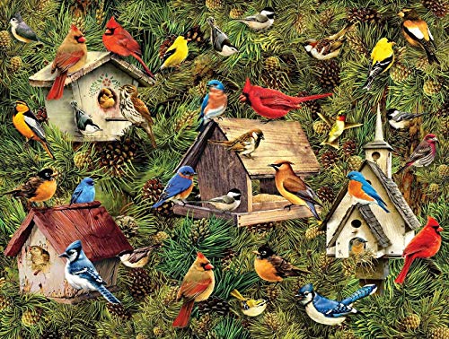 DKEE Rompecabezas Rompecabezas For Niños Y Adultos 1000 Pedazos De Madera Puzzle Kits Regalos De Bricolaje Pintura Mural Juegos Educativos Juguetes 75X50cm (Color : Chalet Bluebird)