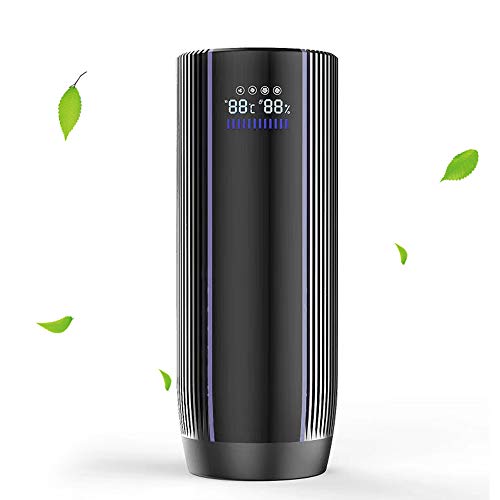 EPILUM Purificador de Aire Ionizador para Auto con Filtro HEPA con Pantalla LCD Generador de Iones Negativos Eliminar el Humo, Polvo, PM2,5 Alergias, Gérmenes