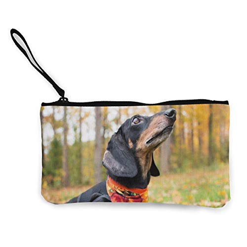 Hdadwy Dachshund Perro Chal Hojas de Hierba otoño Monedero Bolsa de Maquillaje Bolsa con Cremallera Bolsa de cosméticos de Viaje para Mujer niña Personalizada