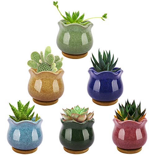 Lewondr Succulent Plant Pots, 3.5 Inch 6 Pack Ice Crack Mini Ceramic Flower Cacti Pot Planter Container Set with Drain Hole & Bamboo Trays for Garden Home Office Tablet Desk Ideal Gifts, Colorful