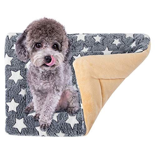 NO BRAN Manta para Mascotas, Colchones para Gatos Y Perros Funda Lavable Almohada De Felpa, Ambos Lados Disponibles, 40x30 cm, Almohada De Felpa, Adecuado para Perros y Gatos Pequeños