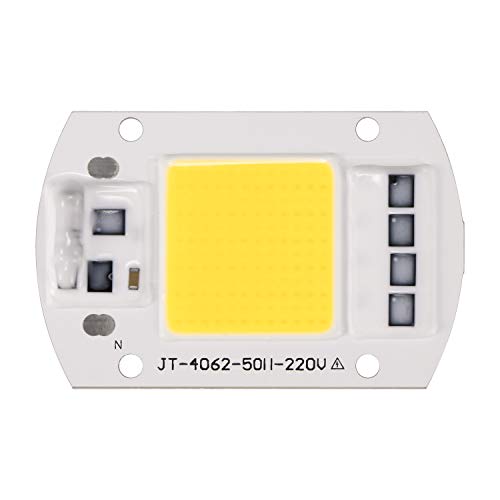 OurLeeme 100W 220V LED COB Chip Inteligente IC Driver para Reflector Reflector Reflector (Blanco frío)