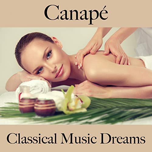 Symphony No. 9 in D Minor, Op. 125: III. Adagio molto e cantabile - Andante moderato