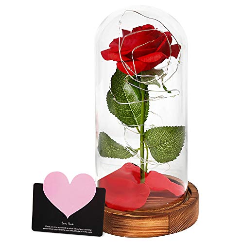 AMAYGA"La Bella y La Bestia Rosa Encantada, Elegante Cúpula de Cristal con Base Pino Luces LED, Beauty and Beast Regalos Magicos Decoración para Día de San Valentín Aniversario Bodas