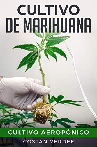 Cultivo De Marihuana: Cultivo Aeropónico