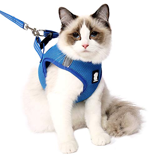 EVEL Conjunto de arnés y Correa para Gato Chaqueta de Chaleco Acolchada de Malla Suave Ajustable Reflectante a Prueba de Escapes para Mascotas Cachorro Gatito Caminata al Aire Libre