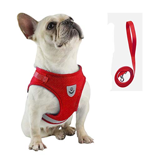 FEimaX Arnés para Perros y Conjunto de Correa, Pequeña Chaleco para Acolchado de Malla Suave para Cachorros y Gatos, Correas Reflectante Ajustable Transpirable para Entrenamiento, Correr