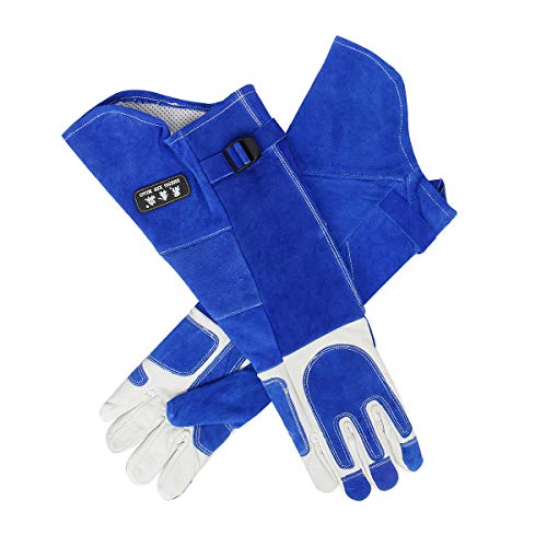 Funhoo Guantes Anti-mordedura/Rasguño de Manipulación de Animales, Piel de Vaca Engrosada, Guantes de Protección Seguros y Duraderos para Mordidas de Perros, Gato, Ave, Serpiente, Lizard - Azul (M)