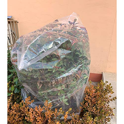 Gzhenh Invernadero Pequeño Plegable Portátil Bolsa Transparente Impermeable Alta Capacidad Cubierta De Aislamiento Vegetal, 23 Tamaños (Color : Clear-5pcs, Size : 60x80m)