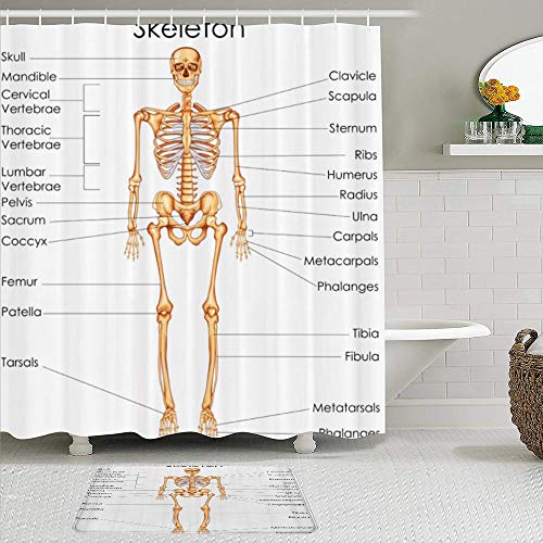 LISNIANY Conjunto De Ducha Cortina Alfombra,Esqueleto Anatomía Humana Sistema esquelético Diagrama del Cuerpo de un Hombre Ciencia didáctica Sistema del Cuerpo óseo,Uso en baño, Hotel