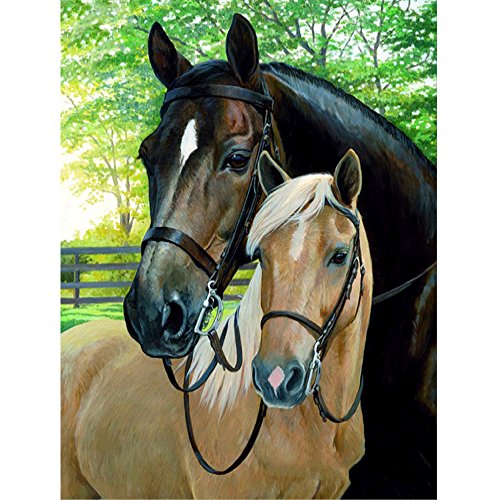 MXJSUA 5D Diamond Painting Kits de Taladro Completo Adultos Rhinestone Pegado Artes Artesanía Decoración de la Pared del hogar 30x40 cm Caballo Negro Caballo Blanco