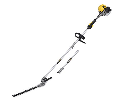 POWERPLUS POWXG2061 - Cortasetos de altura 25.4cc 450mm