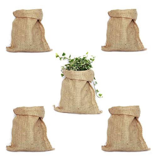 TBG Pack 5 Sacos de Yute 100% Natural. Bolsas Ecológicas Ideales para Decoración de Cocina, Jardín, Fiestas Vintage y Huerto Urbano. Organizador Rústico para Verduras y Plantas (26x48cm)